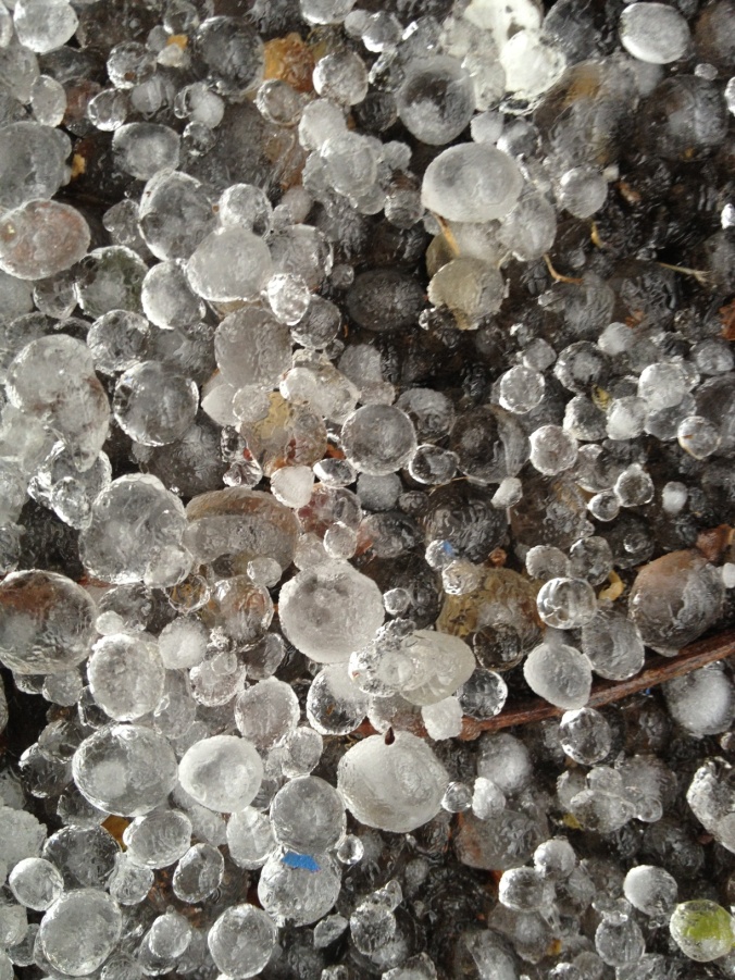Hailstones, right after the storm